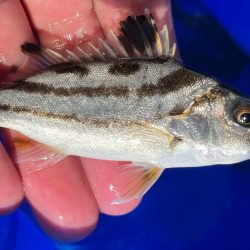 オリンピック公園でちょい投げ