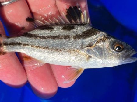 オリンピック公園でちょい投げ