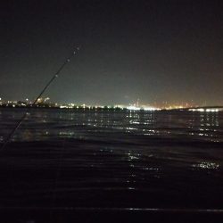エビ撒き、夜釣り