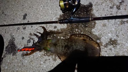 遂に対馬が選択できる！！