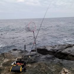 和歌山市江(吉丸渡船)で磯フカセ