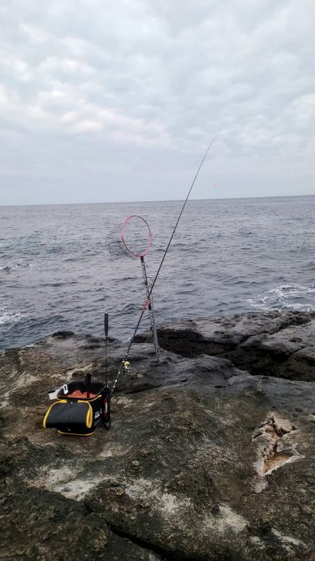 和歌山市江(吉丸渡船)で磯フカセ