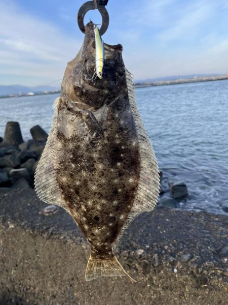 ヒラメ釣れました