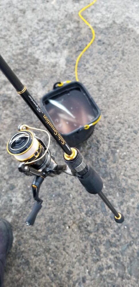 今季初アジングです。大漁！