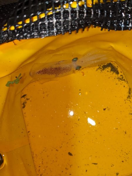 気温も釣果も寒すぎ…