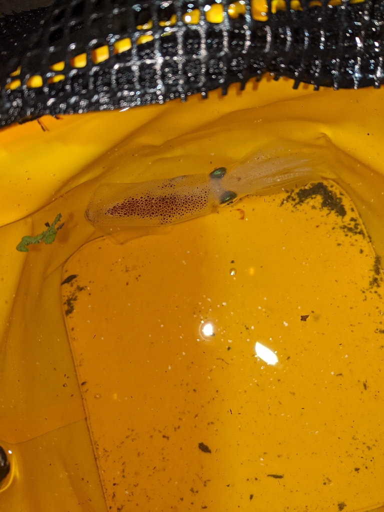 気温も釣果も寒すぎ…