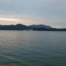 もう少し近ければ…