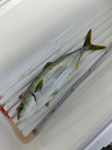 釣れてくれてありがとう