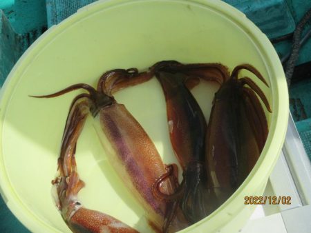 サバ　クーラー満タン(^_-)-☆　スルメ…