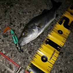 超渋だねスズキさん!