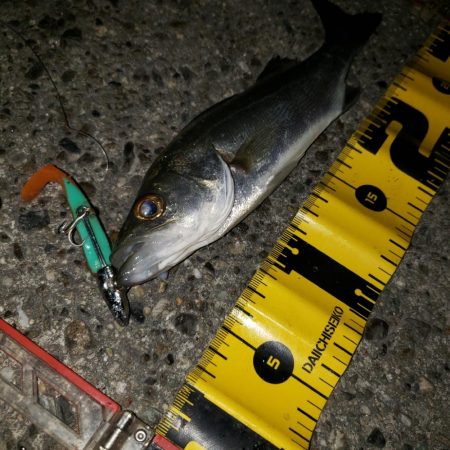 超渋だねスズキさん!