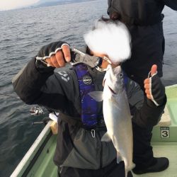 ビワマストローリング