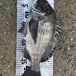 イチノ兄弟（弟）釣果！