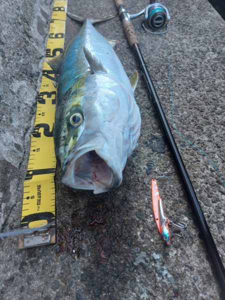 プチsalt water game