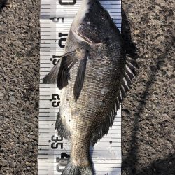 イチノ兄弟(兄)釣果!