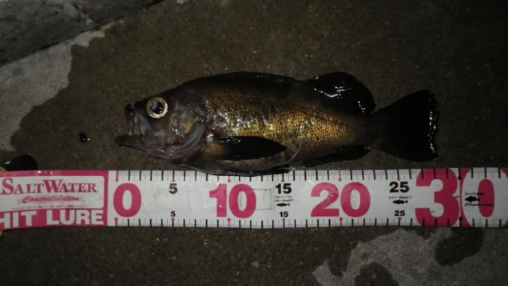 クリスマスイブナイトゲーム