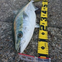 2022播磨遠征第５回