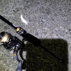 ナイトアジング