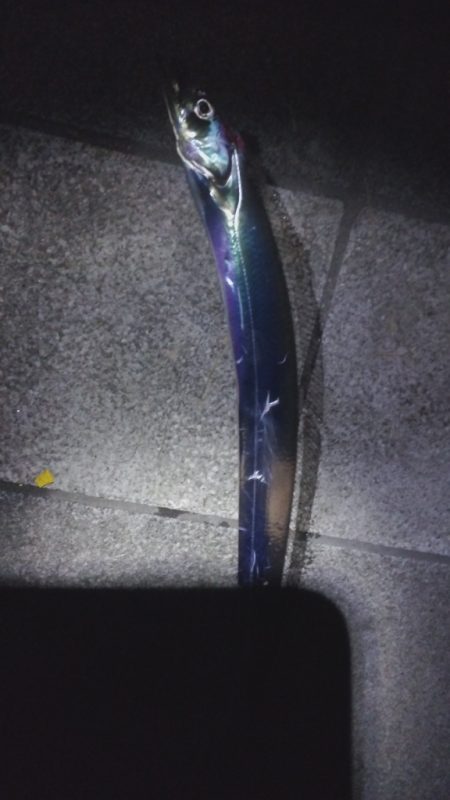 そういえば流星群