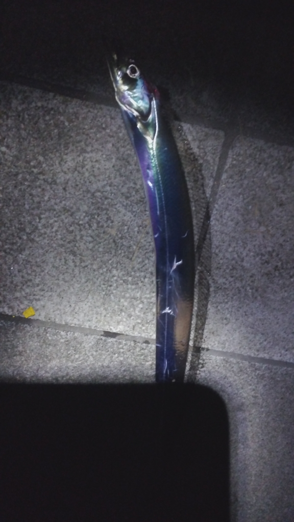 そういえば流星群