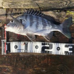 悪天候の合間の晴れの日