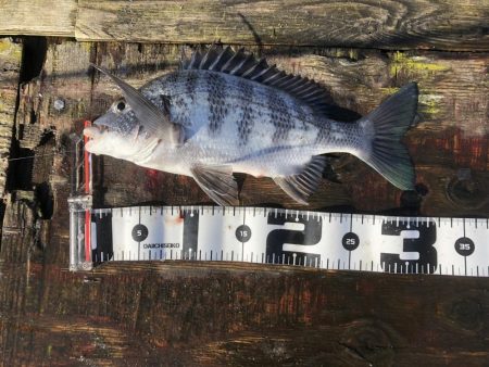 悪天候の合間の晴れの日