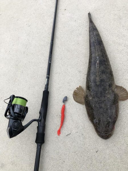 美味魚が食べたくて