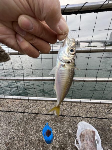 カレイはどこ、サビキしか勝たん