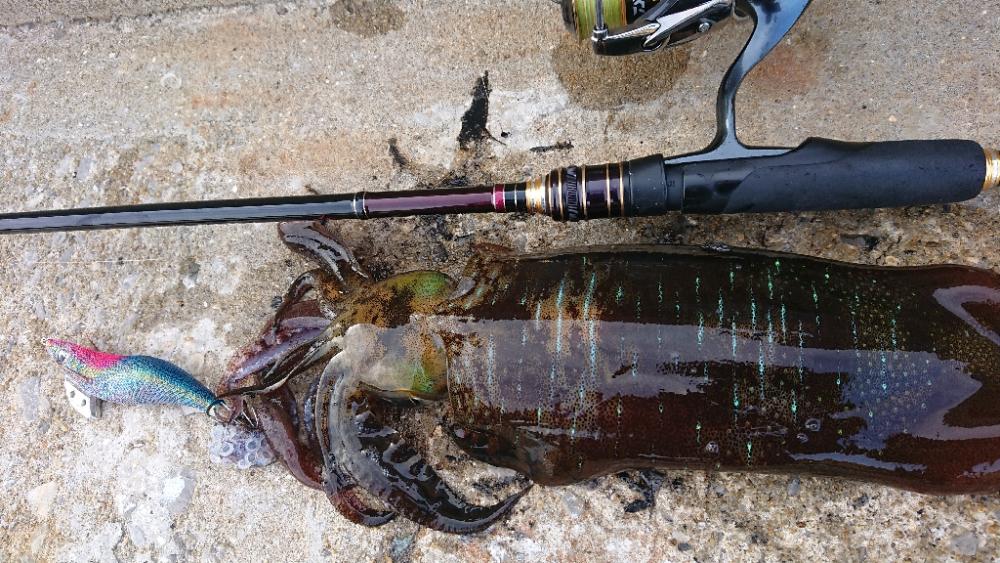 遂に対馬が選択できる！！