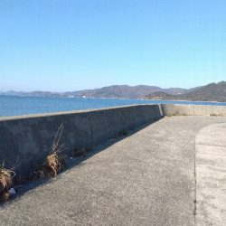 苅屋海岸のキス釣り