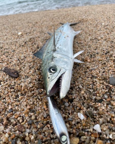 サーフナブラ打ち