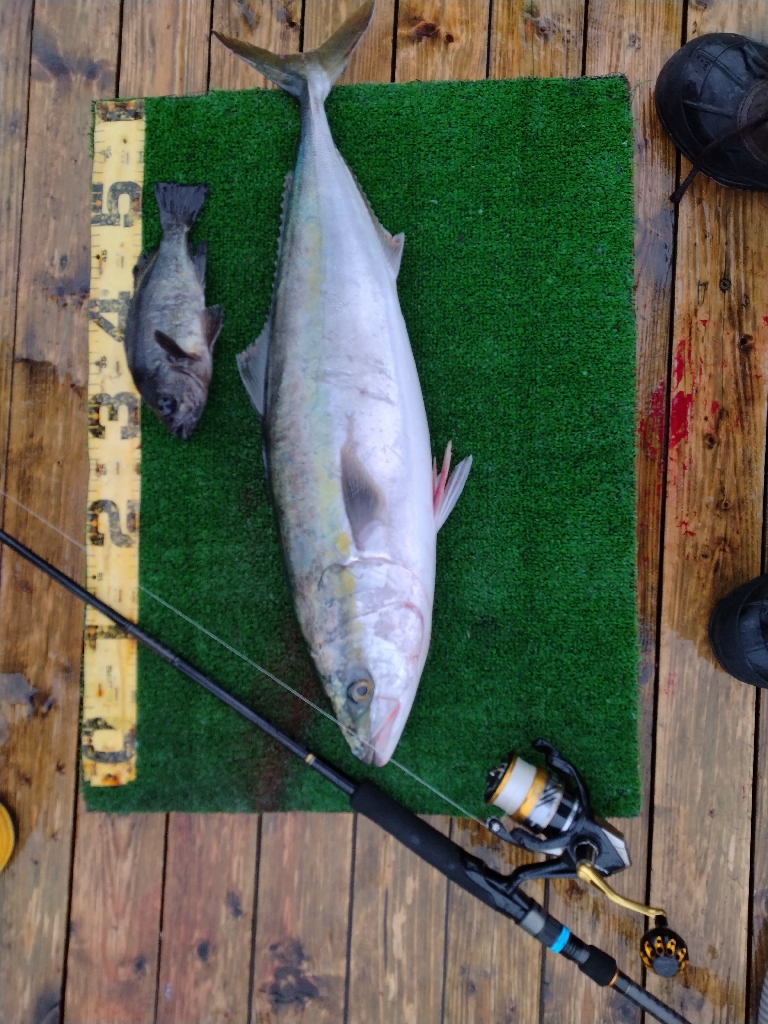 レンタルボート釣り