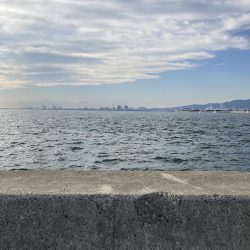 なかなか厳しい！