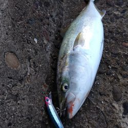 爆風ショアジギング!