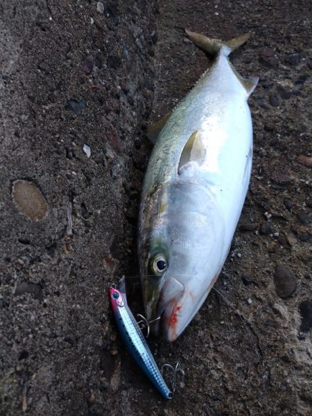 爆風ショアジギング!