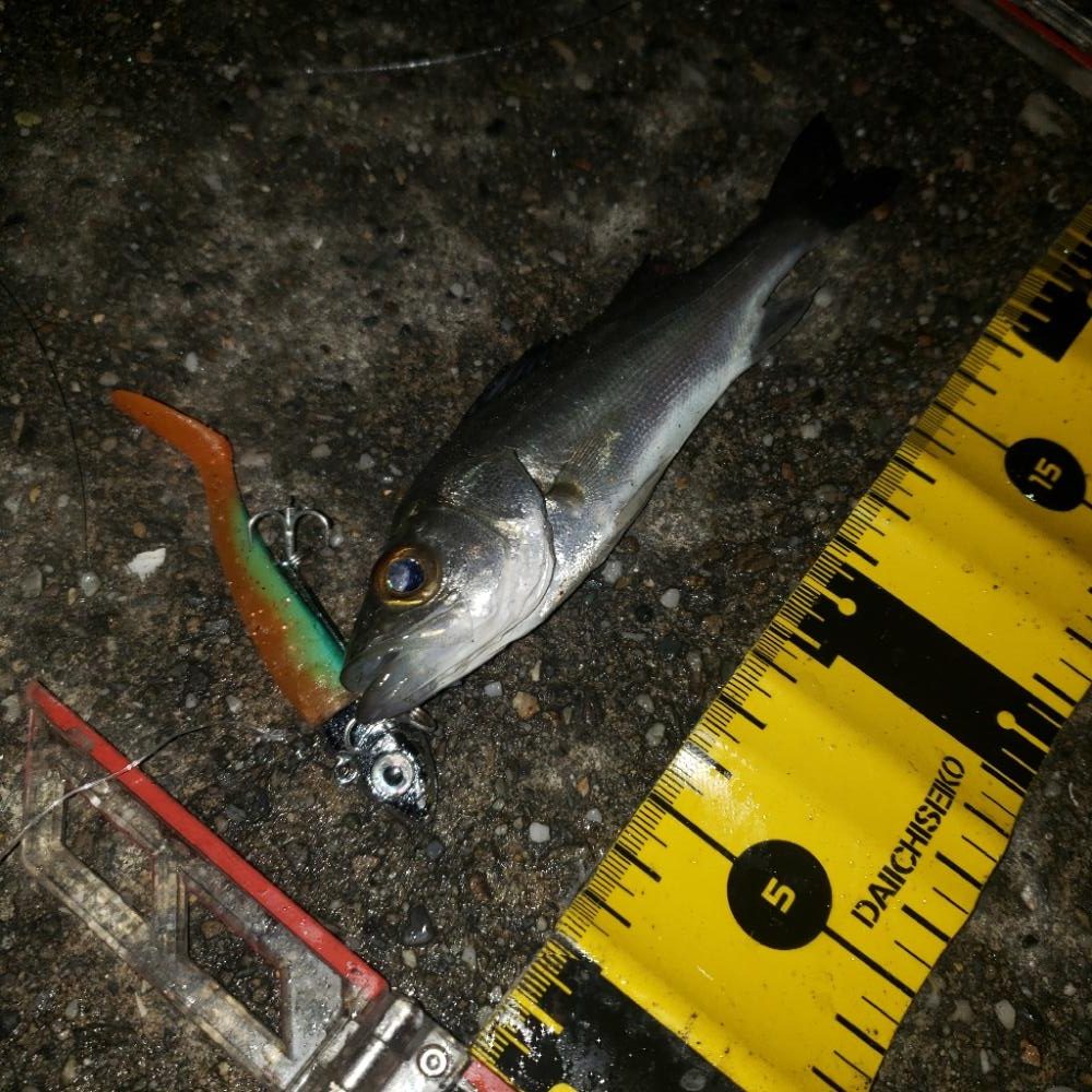 鬼渋だねスズキさん!