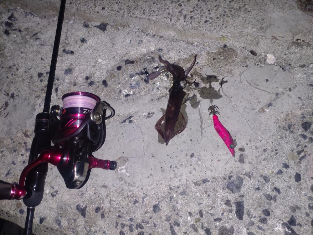 一段と冷え込んできたのでヒイカ