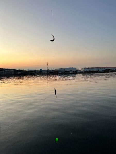 調達指令！でも何かもったいないような気がし…