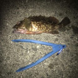 一誠　ハネエビロッド2 鱗付け完了