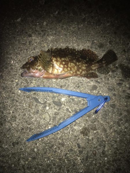 一誠　ハネエビロッド2 鱗付け完了