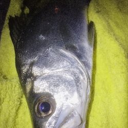 鈴木さん、初めまして