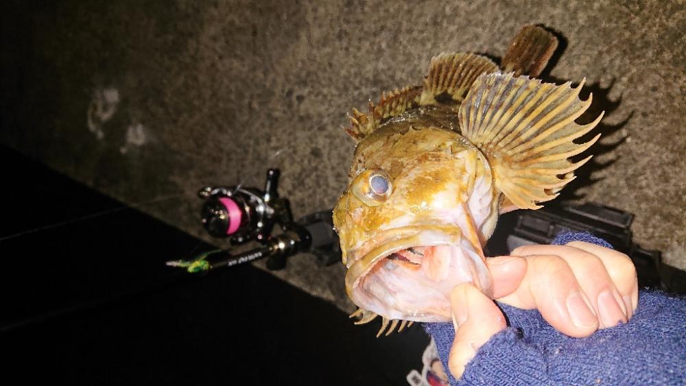 釣り納め。