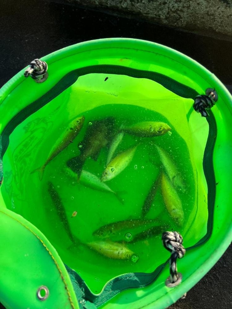 絶叫！さぁ～きて・・最高よ～!!たまんないわぁ～！！！