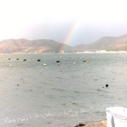 室津のキス釣り