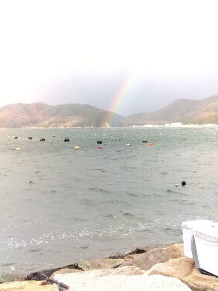 室津のキス釣り