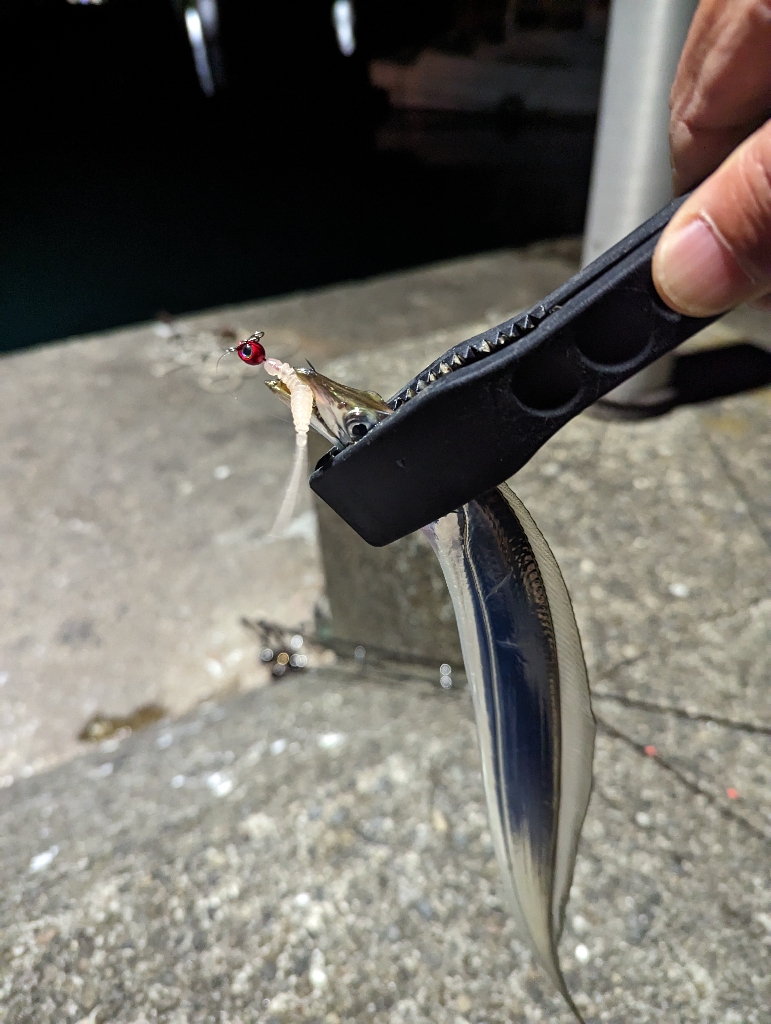 陸っぱり釣行記