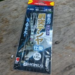 タチウオ狙い☆タチウオテンヤと🎵