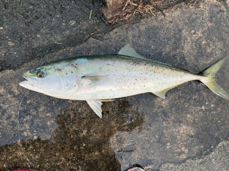 ひゃあぁ～！すっご～～いっ！！大人になった…