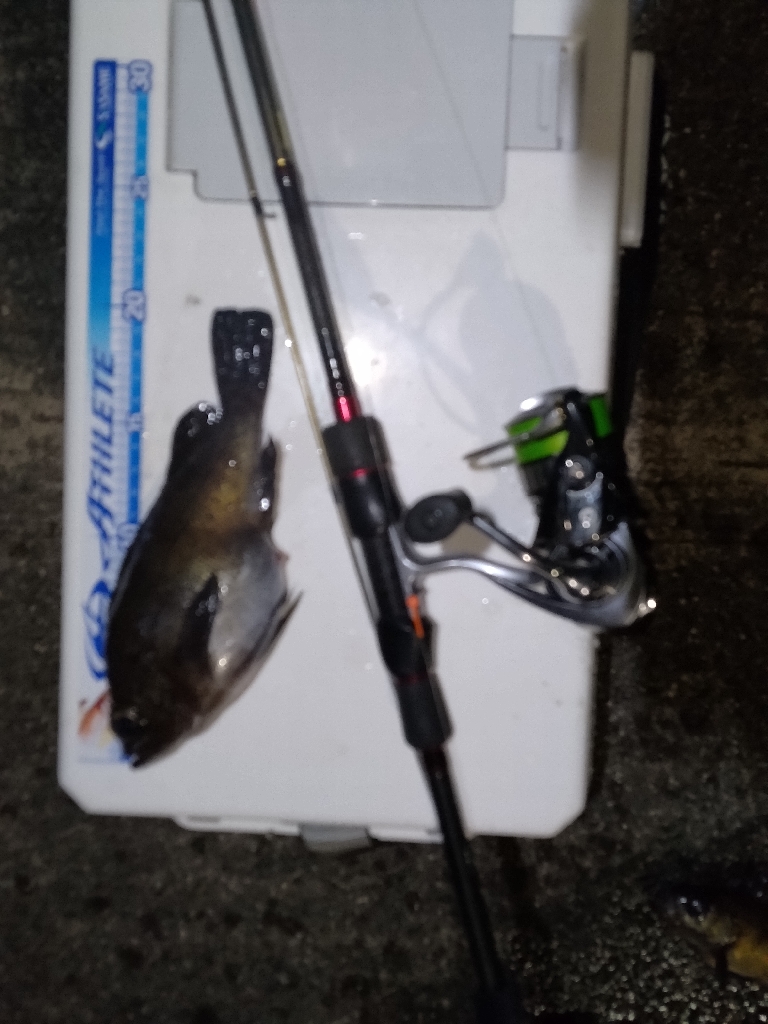 フロートメバリング