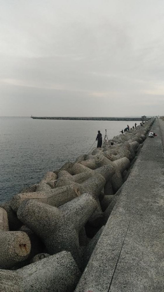 今シーズン最終戦